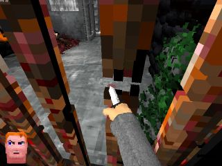 VOXELSTEIN 3D