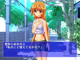 ありがちな、それでいて甘酸っぱい記憶。