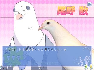 はーとふる彼氏