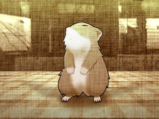 セッちゃんにすがるハムスタア