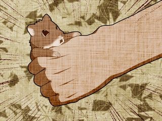 正造、ハムスタアを捕獲