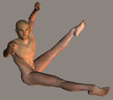 tiaki